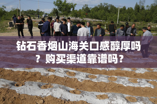 钻石香烟山海关口感醇厚吗？购买渠道靠谱吗？